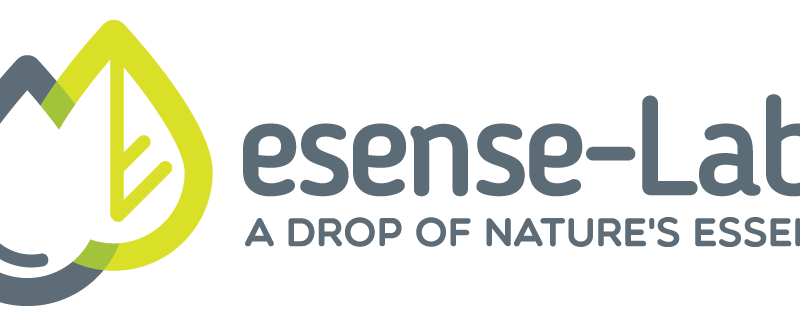 eSenseLab
