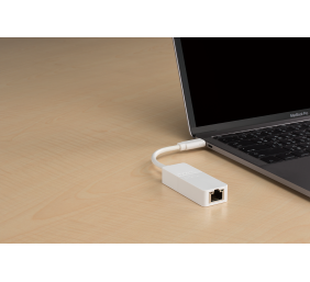 D-Link | USB-C to Gigabit Ethernet Adapter | DUB-E130 | Warranty  month(s) | GT/s