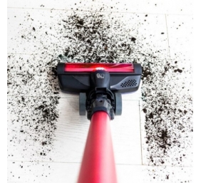 CECOTEC 05121 Conga ThunderBrush 820