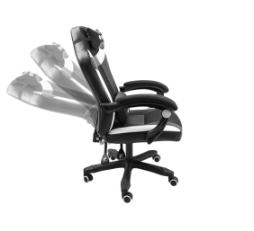 Fury Gaming Chair Fury Avenger M+ PU Leather | Black/White