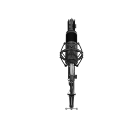 Genesis | Gaming Microphone | Radium 300 | Black | Wired