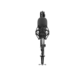 Genesis | Gaming Microphone | Radium 300 | Black | Wired