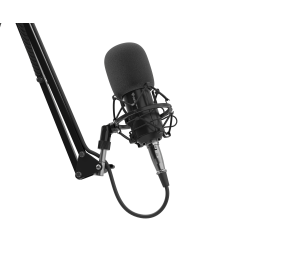 Genesis | Gaming Microphone | Radium 300 | Black | Wired