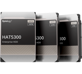 Synology | Enterprise HDD | (HAT5300-16T) | 7200 RPM | 16000 GB | HDD | 512 MB
