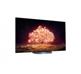 LG OLED65B13LA 65" (164 cm), Smart TV, WebOS, 4K UHD OLED, 3840 x 2160, Wi-Fi, DVB-T/T2/C/S2, Black