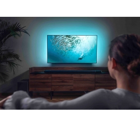 Philips Fidelio Soundbar