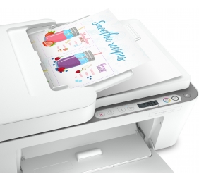 HP DeskJet 4120e All-in-One