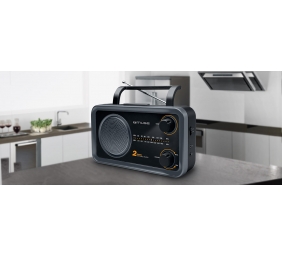 Muse | 2-bands portable radio | M-06DS | AUX in | Grey