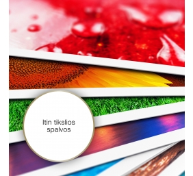 Matte Paper Heavy Weight, DIN A4, 167g/mÂ², 50 Sheets