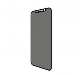 PanzerGlass | P2665 | Screen protector | Apple | iPhone Xr/11 | Tempered glass | Black | Confidentiality filter; Full frame coverage; Anti-shatter film (holds the glass together and protects against glass shards in case of breakage); Case Friendly – compa