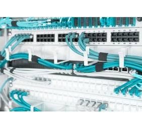 Digitus | Cable Management Panel with Cable Rings for 483 mm (19") Cabinets, 1U | DN-97601 | Grey