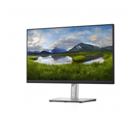 Monitorius Dell LCD P2422HE 23.8 inch, Sidabrinis