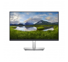 Monitorius Dell LCD P2422HE 23.8 inch, Sidabrinis