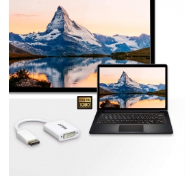 Aten VC965 DisplayPort to DVI Adapter | Aten | DisplayPort to DVI Adapter | VC965 | DP to DVI