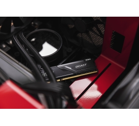 Kingston | Fury Beast | 32 GB | DDR4 | 3200 MHz | PC/server | Registered No | ECC No