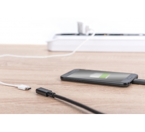 Digitus USB Type-C extension cable, Type-C - C | AK-300210-015-S