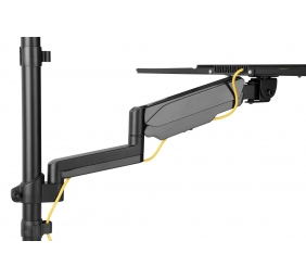 Digitus | Wall mount | Tilt, height adjustment, rotate | 17-32 " | Black