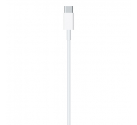 Apple lightning cable 2 m White