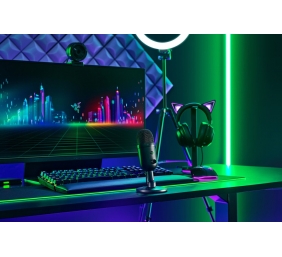 Mikrofonas Razer Seiren V2 X Streaming Microphone, Laidinis, Juoda