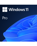 Operacinė sistema Microsoft Windows 11 Pro 64-Bit DVD OEM English International (EN)