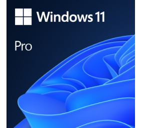 Operacinė sistema Microsoft Windows 11 Pro 64-Bit DVD OEM English International (EN)