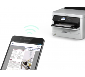 Epson T01D1 XXL (C13T01D100) Rašalinė kasetė, Juoda