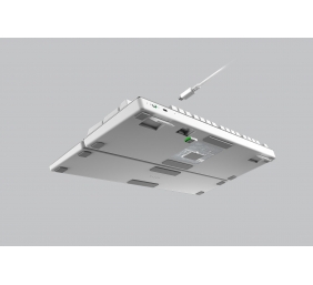 Razer Pro Type Ultra Belaidė žaidimų klaviatūra RF Wireless+BT+USB, LED, Yellow Switch, US, Balta