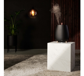 Duux | Humidifier Gen2 | Tag | Ultrasonic | 12 W | Water tank capacity 2.5 L | Suitable for rooms up to 30 m² | Ultrasonic | Humidification capacity 250 ml/hr | Black