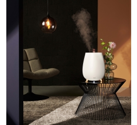 Duux | Humidifier Gen2 | Tag | Ultrasonic | 12 W | Water tank capacity 2.5 L | Suitable for rooms up to 30 m² | Ultrasonic | Humidification capacity 250 ml/hr | White