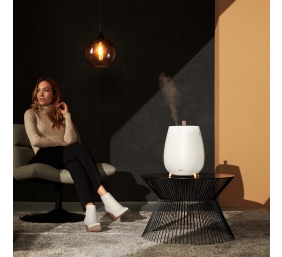 Duux | Humidifier Gen2 | Tag | Ultrasonic | 12 W | Water tank capacity 2.5 L | Suitable for rooms up to 30 m² | Ultrasonic | Humidification capacity 250 ml/hr | White