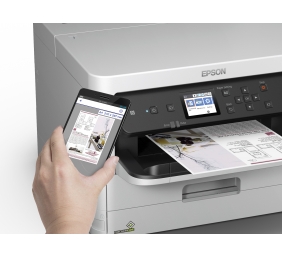 Epson T01C3 (C13T01C300) Rašalinė kasetė, Purpurinė