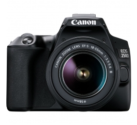 Canon | Megapixel 24.1 MP | Image stabilizer | ISO sensitivity (max) 256000 | Wi-Fi | Video recording | Manual | CMOS | Black