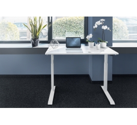 Electric Height Adjustable Desk | 73 - 123 cm | Maximum load weight 50 kg | Metal | White