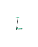 Segway Ninebot eKickscooter ZING A6, Black/Green