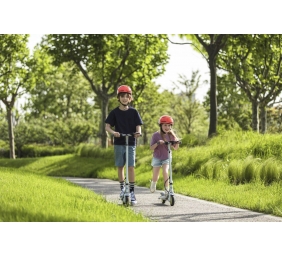 Segway | Ninebot eKickscooter ZING C8 | Up to 16 km/h | Grey