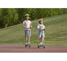 Segway | Ninebot eKickscooter ZING C8 | Up to 16 km/h | Grey