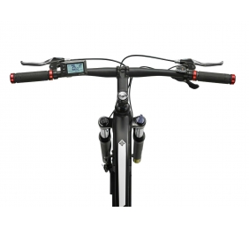 Telefunken Aufsteiger M920, MTB E-Bike, Motor power 250 W, Wheel size 29 ", Warranty 24 month(s), Anthracite/Red