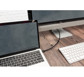 Digitus | USB Type-C Connection Cable | AK-300139-010-S | USB-C to USB-C USB Male 3.1 Gen 2 (Type C) | USB Male 3.1 Gen 2 (Type C)