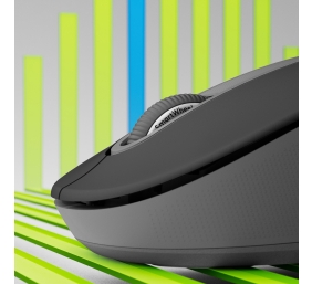 Logitech Signature M650 L Belaidė pelė RF Wireless + Bluetooth, 4000 DPI, Graphite