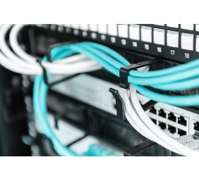 Digitus Cable Management Panel with Brush Entries for 483 mm (19") Cabinets, 1U | DN-97663