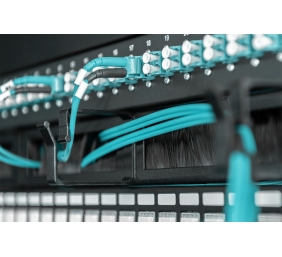 Digitus Cable Management Panel with Brush Entries for 483 mm (19") Cabinets, 1U | DN-97663