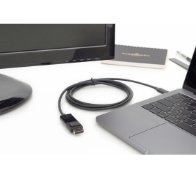 Digitus | USB Type-C adapter cable | USB-C | DisplayPort | USB-C to DP | 2 m