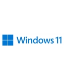 Microsoft | Windows 11 Pro | HAV-00163 | English | FPP | USB | 64-bit
