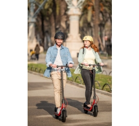 Segway | Ninebot eKickscooter D38E | Up to 25 km/h | Black/Red