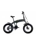 Wayel NEXT+, E-Bike, Motor power 250 W, Wheel size 20 ", Warranty 24 month(s), Dark Grey
