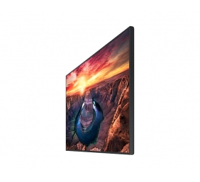 SAMSUNG QM65B 65inch UHD/4K 16:09 LED