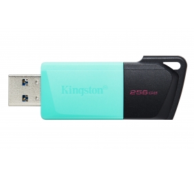 Kingston | USB Flash Drive | DataTraveler Exodia | 256 GB | USB 3.2 Gen 1 | Black/Teal