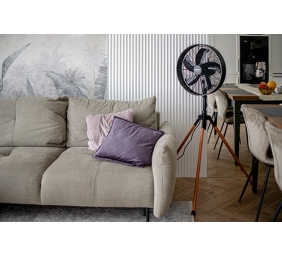 Camry | Fan | CR 7329 | Tripod Loft fan | Black | Diameter 40 cm | Number of speeds 3 | Oscillation | 100 W