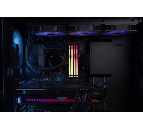 Kingston KF556C40BBAK2-16 16GB 5600MT/s DDR5 CL40 DIMM (Kit of 2) FURY Beast RGB | Kingston