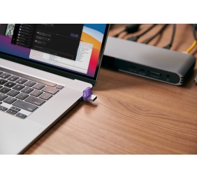 Kingston | DataTraveler | DT Micro Duo 3C | 256 GB | USB Type-C and Type-A | Purple